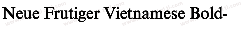Neue Frutiger Vietnamese Bold字体转换
